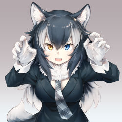 Rule 34 | 1girl, :d, animal ear fluff, animal ears, arms up, asutora, black hair, black jacket, blazer, blue eyes, blush, breasts, claw pose, commentary request, fang, fur collar, gloves, gradient background, grey background, grey necktie, grey wolf (kemono friends), hair between eyes, heterochromia, jacket, kemono friends, large breasts, long hair, looking at viewer, multicolored hair, necktie, open mouth, silver hair, smile, solo, streaked hair, tail, upper body, v-shaped eyebrows, white gloves, wolf ears, wolf tail, yellow eyes