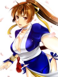 Rule 34 | 1girl, breasts, brown eyes, brown hair, cherry blossoms, cleavage, dead or alive, fingerless gloves, gloves, japanese clothes, kasumi (doa), lips, long hair, ninja, pelvic curtain, petals, ponytail, sakichi6891, smile, solo, tecmo
