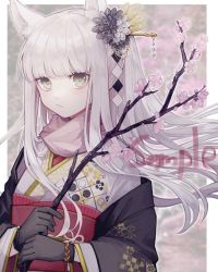 Rule 34 | 1girl, animal ear fluff, animal ears, arknights, black flower, black gloves, blunt bangs, blurry, blurry background, blush, border, branch, cherry blossoms, closed mouth, commentary request, commission, depth of field, flower, gloves, green eyes, grey kimono, hair flower, hair ornament, haori, highres, holding, holding branch, horse ears, japanese clothes, kimono, long hair, long sleeves, looking at viewer, miike (992058), obi, off shoulder, open clothes, outside border, pink flower, platinum (arknights), print kimono, sample watermark, sash, silver hair, skeb commission, solo, watermark, white border, yukata