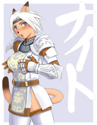 Rule 34 | 00s, 1girl, animal ears, cat ears, final fantasy, final fantasy xi, lowres, md5 mismatch, mithra (ff11), mutsukaze, paladin, paladin (final fantasy), solo, thighhighs
