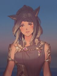 Rule 34 | 1girl, animal ears, braid, brown hair, chaosringen, commentary, commission, dress, dusk, english commentary, facial mark, final fantasy, final fantasy xiv, highres, jewelry, looking at viewer, medium hair, orange eyes, parted lips, shoulder pads, side braid, sky, sleeveless, sleeveless dress, slit pupils, solo, star (sky), starry sky, upper body, warrior of light (ff14)