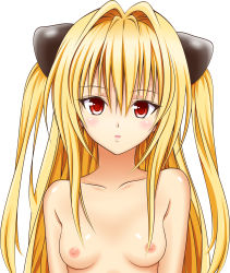 Rule 34 | 1girl, aki99, bad id, bad pixiv id, blonde hair, blush, breasts, highres, konjiki no yami, long hair, looking at viewer, nipples, nude, red eyes, simple background, small breasts, solo, to love-ru, upper body, white background