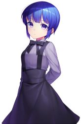 Rule 34 | 1girl, arms behind back, black ribbon, black skirt, blue hair, braid, closed mouth, collared shirt, copyright request, highres, jenevan, looking at viewer, neck ribbon, purple eyes, purple shirt, ribbon, shirt, skirt, solo, standing, suspender skirt, suspenders, transparent background, wing collar