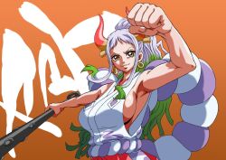 Rule 34 | 1girl, breasts, character name, clenched hand, club, club (weapon), commentary request, cowboy shot, earrings, gakisige, green hair, hair ornament, hakama, highres, holding, holding weapon, horns, japanese clothes, jewelry, kanabou, kimono, looking at viewer, multicolored hair, one piece, orange background, outstretched arms, ponytail, red hakama, rope, shimenawa, sideboob, sidelocks, sleeveless, sleeveless kimono, smile, solo, two-tone hair, upper body, v-shaped eyebrows, weapon, white hair, white kimono, yamato (one piece)