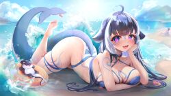 Rule 34 | 1girl, absurdres, ahoge, barefoot, beach, bikini, blue eyes, body markings, breasts, cetacean tail, collar, feet, fins, fish, fish tail, heart, heart-shaped pupils, highres, indie virtual youtuber, large breasts, lil noot, long hair, looking at viewer, lying, multicolored hair, open mouth, orca girl, shylily, skindentation, smile, soles, solo, streaked hair, striped bikini, striped clothes, swimsuit, symbol-shaped pupils, tail, toes, virtual youtuber, waves