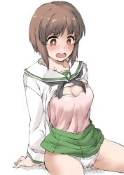 Rule 34 | 1girl, black neckerchief, blouse, blush, breasts, bright pupils, brown hair, camisole, cleavage, clothes lift, commentary, crotch seam, elf (stroll in the woods), girls und panzer, green skirt, highres, light frown, long sleeves, medium breasts, miniskirt, neckerchief, nishizumi miho, ooarai school uniform, open mouth, panties, pink camisole, pleated skirt, sailor collar, school uniform, serafuku, shirt, shirt lift, short hair, simple background, sitting, skirt, skirt lift, solo, textless version, underwear, white background, white panties, white pupils, white sailor collar, white shirt