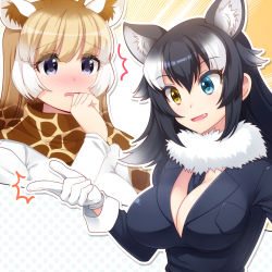 Rule 34 | 10s, 2girls, :d, ^^^, animal ears, animal print, bad id, bad pixiv id, between breasts, black hair, black jacket, blonde hair, blush, breast pocket, breasts, cleavage, commentary request, fang, fur collar, fur trim, giraffe ears, giraffe print, gloves, grey wolf (kemono friends), hand up, heterochromia, highres, jacket, kemono friends, large breasts, long hair, multicolored hair, multiple girls, necktie, necktie between breasts, nose blush, open mouth, parted lips, pocket, purple eyes, reticulated giraffe (kemono friends), scarf, smile, snapping fingers, totokichi, white gloves, white hair, wolf ears, yellow eyes