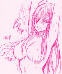 Rule 34 | 2girls, ^^^, angry, arms up, bdsm, blush, bondage, bound, breasts, claws, clenched teeth, crimson comics, erza scarlet, fairy tail, hair over one eye, heart, kyouka (fairy tail), large breasts, long hair, lowres, monochrome, multiple girls, nipple stimulation, nipple torture, nipple tweak, nipples, one eye closed, rape, sketch, solo, solo focus, sound effects, speech bubble, sweat, teasing, teeth, topless frame, trembling, wince, wink
