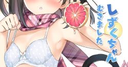 Rule 34 | armpits, blue bra, blush, bra, cat tail, checkered clothes, checkered scarf, food, fruit, grapefruit, grapefruit slice, kantoku, polka dot, polka dot bra, scarf, solo, tagme, tail, underwear