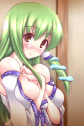 Rule 34 | 1girl, bare shoulders, blush, breasts, breasts squeezed together, detached sleeves, female focus, frog, green hair, hair ornament, japanese clothes, kochiya sanae, large breasts, long hair, oohira sansetto, oohira sunset, smile, snake, solo, touhou, yellow eyes