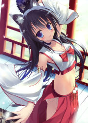 Rule 34 | 1girl, absurdres, adapted uniform, animal ears, arm up, black hair, blue eyes, blush, breasts, cat ears, cat tail, choker, cleavage, dengeki moeou, detached sleeves, dual wielding, folding fan, hakama, hakama skirt, hand fan, highres, hip vent, holding, japanese clothes, kimono, looking at viewer, midriff, miko, navel, nontraditional miko, open mouth, original, panties, petals, red hakama, ribbon, saeki nao, scan, side-tie panties, side slit, skirt, small breasts, solo, tail, underwear, white panties