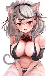 Rule 34 | 1girl, absurdres, ana (vvvvor), animal ear fluff, animal ears, bare shoulders, black hair, blush, bow, bowtie, breasts, cat ears, cat girl, cat tail, cleavage, detached collar, ear piercing, fang, grey hair, hair ornament, highres, hololive, large breasts, looking at viewer, medium hair, multicolored hair, navel, open mouth, piercing, plaid, plaid bow, plaid bowtie, red bow, red bowtie, red eyes, sakamata chloe, solo, streaked hair, swimsuit, tail, thighhighs, virtual youtuber, white background, white thighhighs, x hair ornament