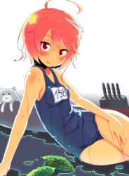 Rule 34 | 10s, 1girl, :p, ahoge, arm support, blush, cat, highres, i-58 (kancolle), kantai collection, one-piece swimsuit, orange hair, red eyes, school swimsuit, short hair, sitting, solo, sw (taco), swimsuit, tongue, tongue out, wet