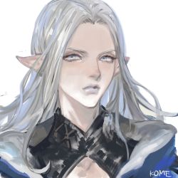 Rule 34 | 1girl, artist name, blue eyes, close-up, commentary, elezen, elf, expressionless, final fantasy, final fantasy xiv, frischenq, grey hair, grey lips, long hair, looking at viewer, pointy ears, portrait, signature, simple background, solo, white background, ysayle dangoulain