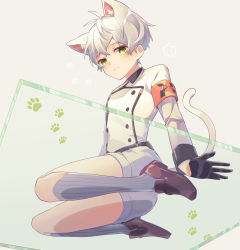 Rule 34 | 1boy, animal ears, arknights, aruke0, bishounen, black gloves, blush, cat boy, cat ears, cat tail, full body, glass, gloves, green eyes, looking at viewer, male focus, mephisto (arknights), paw print, shoes, shorts, sitting, socks, solo, tail, thighs