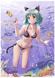 Rule 34 | 1girl, absurdres, animal ears, bikini, black bikini, blush, breasts, brown eyes, cat ears, cat girl, cat tail, closed mouth, clownfish, collarbone, fish, highres, navel, red liquid (artist), sanya v. litvyak, short hair, side-tie bikini bottom, small breasts, smile, solo, strike witches, swimsuit, tail, underwater, white hair, world witches series
