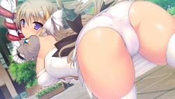 Rule 34 | 1girl, arms up, ass, black bow, blush, bow, braid, breasts, cameltoe, closed mouth, covered erect nipples, earrings, elbow gloves, female focus, frills, game cg, gensei shinki lineage, gloves, grey hair, hair bow, hair ornament, jewelry, long hair, looking at viewer, looking back, panties, purple eyes, sideboob, solo, sweat, tears, tentacles, thighhighs, tieruna aeruraido surone, triangle (company), underwear, white bow, white gloves, white panties, white thighhighs