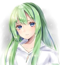 Rule 34 | 1other, androgynous, artist name, blue eyes, collarbone, enkidu (fate), fate/strange fake, fate (series), green hair, highres, long hair, magical manana, parted lips, portrait, shirt, solo, white shirt