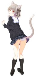 Rule 34 | 1girl, animal ear fluff, animal ears, ass, black footwear, black skirt, black socks, black sweater, blush, bow, brown bow, cat ears, cat girl, cat tail, commentary, fang, from behind, full body, grey hair, hair bow, hand up, highres, kneehighs, loafers, looking at viewer, looking back, miniskirt, mochimugi rice, open mouth, original, panties, pantyshot, paw pose, plaid, plaid skirt, red eyes, sailor collar, school uniform, shoes, short hair, simple background, skin fang, skirt, sleeves past wrists, socks, solo, standing, sweater, tail, tail raised, thighs, underwear, white background, white panties, white sailor collar