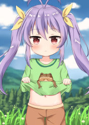 Rule 34 | 1girl, absurdres, animal, artist request, blush, clothes lift, cloud, forest, frog, hair ribbon, highres, lifting own clothes, long hair, looking at viewer, miyauchi renge, nature, non non biyori, purple hair, red eyes, ribbon, shirt lift, shorts, sky, solo, twintails, yellow ribbon