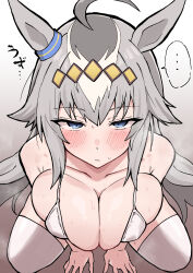 Rule 34 | ..., 1girl, ahoge, alternate costume, bikini, blush, breasts, cleavage, closed mouth, commentary request, ear ornament, grey background, grey hair, hair between eyes, hair ornament, highres, horse girl, horse tail, large breasts, long hair, multicolored hair, oguri cap (umamusume), partial commentary, shimiya (aokuchi), simple background, solo, spoken ellipsis, squatting, streaked hair, swimsuit, tail, thighhighs, umamusume, white bikini, white thighhighs