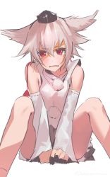 Rule 34 | 1girl, animal ears, blush, detached sleeves, fang, hat, highres, inubashiri momiji, looking at viewer, msmusui, red eyes, short hair, silver hair, simple background, sitting, solo, spread legs, tokin hat, touhou, twitter username, v arms, white background, wolf ears