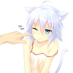Rule 34 | 1girl, ahoge, animal ears, bad id, bad nicoseiga id, bare shoulders, blue eyes, cat ears, cat tail, cheek poking, collarbone, fang, kinta (distortion), original, poking, short hair, silver hair, simple background, strap slip, tail, text focus, translated, white background, wince