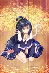 Rule 34 | 1girl, absurdly long hair, ainu clothes, animal ears, aquaplus, breasts, cat tail, dress, from above, full body, gari, gradient eyes, hair between eyes, hair ornament, hands between legs, highres, kuon (utawarerumono), layered sleeves, long hair, long sleeves, looking at viewer, multicolored eyes, open mouth, orange eyes, ponytail, scarf, shiny skin, sidelocks, sitting, small breasts, solo, swept bangs, tail, thighs, utawarerumono, utawarerumono: itsuwari no kamen, very long hair, white tail, wooden floor, yellow scarf