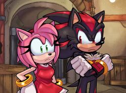 Rule 34 | 1boy, 1girl, absurdres, amy rose, commentary, crate, crossed arms, dress, english commentary, furry, furry female, furry male, gloves, green eyes, hand on own hip, highres, indoors, lemon eyebrows, looking at another, red dress, red eyes, shadow the hedgehog, sleeveless, sleeveless dress, sonic (series), white gloves