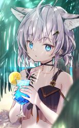 Rule 34 | 1girl, absurdres, ahoge, animal ear fluff, animal ears, arknights, bare shoulders, beach, bikini, black bikini, black choker, blue eyes, choker, closed mouth, collarbone, cup, day, drink, drinking glass, flat chest, food, fox ears, fruit, hair ornament, hairclip, highres, holding, holding cup, lemon, lemon slice, looking at viewer, low twintails, material growth, matsushika, official alternate costume, oripathy lesion (arknights), outdoors, palm tree, purple hair, short hair, short twintails, solo, sussurro (arknights), sussurro (summer flower) (arknights), swimsuit, tree, twintails, upper body