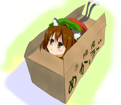 Rule 34 | 1girl, :3, animal ears, bad id, bad pixiv id, box, brown hair, cat ears, cat girl, cat tail, chen, female focus, hat, in box, in container, multiple tails, short hair, solo, tail, touhou, usagikoya, yellow eyes
