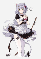 Rule 34 | 1girl, animal, animal ear fluff, animal ears, apron, black bow, blush, bow, braid, braided bangs, breasts, cat, character name, flower, garter straps, genshin impact, green eyes, grey background, highres, lace, lace-trimmed legwear, lace trim, maid, maid apron, noelle (genshin impact), open mouth, red flower, short hair, simple background, small breasts, solo, tail, thighhighs, white hair, white thighhighs, yajuu