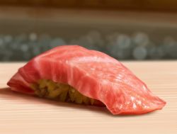 Rule 34 | blurry, blurry background, bokeh, depth of field, fish (food), food, food focus, highres, meat, nigirizushi, no humans, original, photorealistic, realistic, rice, salmon, soraciel, still life, sushi