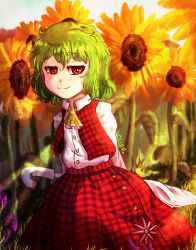 Rule 34 | 1girl, artist name, ascot, blue sky, blush, buttons, closed mouth, cloud, cloudy sky, collar, collared shirt, flower, grass, green hair, hair between eyes, highres, kazami yuuka, leaf, long sleeves, looking at viewer, open clothes, open vest, pink flower, plaid, plaid skirt, plaid vest, purple flower, red eyes, red skirt, red vest, shadow, shirt, short hair, skirt, sky, sleep (isliping), smile, solo, standing, sunflower, sunlight, touhou, umbrella, vest, white shirt, yellow ascot