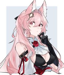 Rule 34 | 1girl, animal ear fluff, animal ears, arknights, ascot, bikini, black bikini, black gloves, blue background, border, breasts, cleavage, commentary, corsage, cropped torso, earrings, flower, gloves, hair intakes, hair ornament, hand up, highres, jewelry, long hair, looking at viewer, medium breasts, pink eyes, pink hair, pozyomka (arknights), rose, simple background, solo, swimsuit, upper body, white ascot, wolf ears, wolf girl, yakota (usuk-yako)