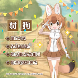 Rule 34 | 1girl, animal ears, chinese text, dhole (kemono friends), extra ears, kemono friends, kemono friends 3, looking at viewer, official art, solo, tail