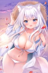 Rule 34 | 1girl, :d, animal ear fluff, animal ears, bare shoulders, bikini, blue eyes, blue jacket, breasts, brown hat, cat ears, cleavage, cowboy shot, fang, front-tie bikini top, front-tie top, gradient sky, halterneck, hamico, hands up, hat, highres, jacket, large breasts, long hair, long sleeves, looking at viewer, navel, off shoulder, open clothes, open jacket, open mouth, original, outdoors, petals, sky, smile, solo, stomach, straw hat, string bikini, sunlight, swimsuit, thigh gap, thighs, wet, white bikini, white hair