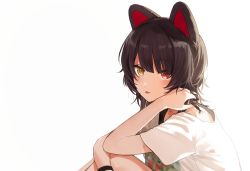 Rule 34 | 1girl, :p, animal ears, brown hair, dog ears, from side, hand up, heterochromia, highres, inui toko, light blush, looking to the side, nijisanji, red eyes, rinderon0722, shirt, short sleeves, simple background, solo, tongue, tongue out, virtual youtuber, white background, white shirt, yellow eyes