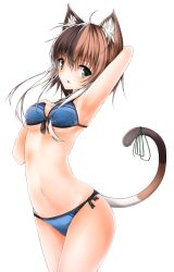Rule 34 | 1girl, absurdres, animal ears, arm up, armpits, bikini, bow, brown hair, cat ears, cat tail, cowboy shot, green eyes, hair between eyes, hair ornament, hairclip, highres, looking at viewer, mage (335656), multicolored hair, original, short hair with long locks, solo, split-color hair, standing, swimsuit, tail, tail bow, tail ornament, two-tone hair