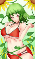 Rule 34 | &gt;:), 1girl, arms up, bikini, blush, body blush, breasts, breasts squeezed together, choker, cleavage, collarbone, covered erect nipples, female focus, floral background, flower, ginko (nico), green hair, head tilt, hip focus, kazami yuuka, large breasts, looking at viewer, navel, red eyes, shiny skin, solo, sunflower, swimsuit, touhou, v-shaped eyebrows, wide hips