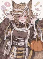 Rule 34 | 1girl, animal ears, aogisa, arknights, bandages, blush, brown hair, candy, ceobe (arknights), claw pose, dog ears, dog girl, doughnut, food, grin, halloween, highres, infection monitor (arknights), lollipop, long hair, pink eyes, pumpkin, revision, smile, solo, turtleneck