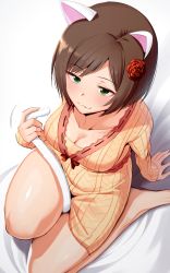 Rule 34 | 1girl, :3, amano don, animal ears, bad id, bad pixiv id, bare legs, between legs, blush, breasts, brown hair, cat ears, cat tail, collarbone, dress, from above, green eyes, half-closed eyes, hand up, highres, holding tail, idolmaster, idolmaster cinderella girls, jitome, long sleeves, maekawa miku, medium breasts, naughty face, ribbon trim, short hair, sitting, sleeves past wrists, smile, solo, sweater, sweater dress, tail, thighs