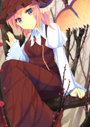 Rule 34 | 1girl, branch, brown dress, dress, expressionless, frilled sleeves, frills, highres, in tree, long sleeves, mystia lorelei, nail polish, otogi kyouka, pink eyes, pink hair, puffy long sleeves, puffy sleeves, short hair, sitting, sitting in tree, solo, touhou, tree, wide sleeves, wings