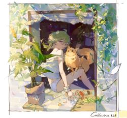 Rule 34 | 1girl, absurdres, animal on leg, bare legs, bare shoulders, border, bracelet, camisole, cat, collei (genshin impact), dated, falling leaves, flower, frilled bracelet, genshin impact, green hair, hair flower, hair ornament, highres, jewelry, leaf, light particles, looking at viewer, looking back, medium hair, mouth hold, mushroom, orange cat, panties, pink eyes, plant, potted plant, qinghejunzi, signature, sitting, solo, strap slip, underwear, vines, white border, white camisole, white flower, white panties, windowsill
