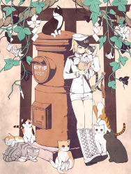 Rule 34 | 1girl, blonde hair, book, boots, cat, flower, hair ornament, hairclip, hat, holding, holding book, japanese postal mark, kagamine rin, katana, knee boots, leaning back, mailbox, open book, plant, postbox, reading, scabbard, shako cap, sheath, short hair, short shorts, shorts, solo, standing, sword, too many, too many cats, torigoe takumi, uniform, vines, vocaloid, weapon, yellow eyes