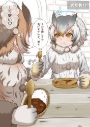 Rule 34 | 2girls, :i, absurdres, black hair, blonde hair, blush, brown coat, brown hair, clenched hands, closed mouth, coat, curry, curry rice, eurasian eagle owl (kemono friends), ev (kemomimizuku), food, food on face, fur collar, gloves, grabbing, grey coat, grey hair, hair between eyes, heart, highres, holding, holding another&#039;s wrist, holding spoon, indoors, kemono friends, long sleeves, looking at another, medium hair, multicolored hair, multiple girls, northern white-faced owl (kemono friends), orange eyes, owl ears, plate, pom pom (clothes), rice, sidelocks, spoon, struggling, table, translation request, trembling, upper body, v-shaped eyebrows, wooden spoon