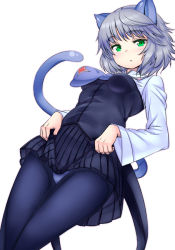 Rule 34 | 1girl, animal ears, blush, cat ears, cat tail, clothes lift, green eyes, necktie, panties, panties under pantyhose, pantyhose, sanya v. litvyak, short hair, silver hair, skirt, skirt lift, solo, strike witches, tail, underwear, world witches series, zizi (zz22)