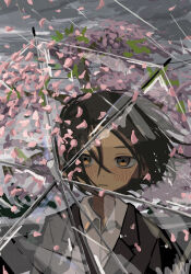 Rule 34 | 1girl, amamoto air, black hair, cherry blossoms, cloud, collared shirt, commentary, dark clouds, expressionless, falling leaves, falling petals, floating hair, highres, leaf, original, petals, rain, shirt, short hair, solo, spring (season), transparent, transparent umbrella, umbrella, white shirt, wind