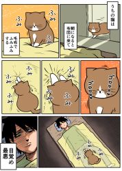 Rule 34 | 1boy, ^ ^, arms at sides, artist self-insert, black hair, cat, closed eyes, comic, commentary request, indoors, kounoike tsuyoshi, original, pain, ponta (kounoike tsuyoshi), shaded face, sitting, socks, translation request, under covers