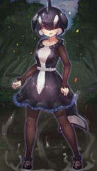Rule 34 | 1girl, belt, black dress, black footwear, black hair, black pantyhose, black sleeves, blowhole, blue dress, bow, cetacean tail, collar, commentary request, dorsal fin, dress, fins, fish tail, footwear bow, frilled collar, frilled dress, frilled sleeves, frills, glowing, glowing eye, hair over one eye, highres, kemono friends, kemono friends 3, long sleeves, multicolored clothes, orca (kemono friends), orca girl, pantyhose, red eyes, shoes, short hair, solo, steaming body, tadano magu, tail, whale tail (clothing), white dress, white hair
